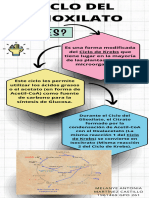 Ciclo de Glioxilato-MartínezCastillo