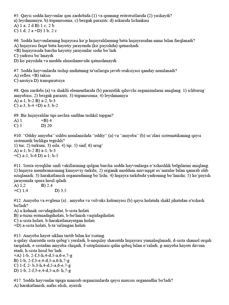 Sud yorqin porno video