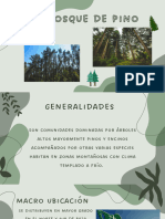 Ecosistemas de Tapalpa: Bosque de Pino