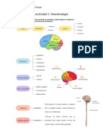 Actividad 2. Neurobiología