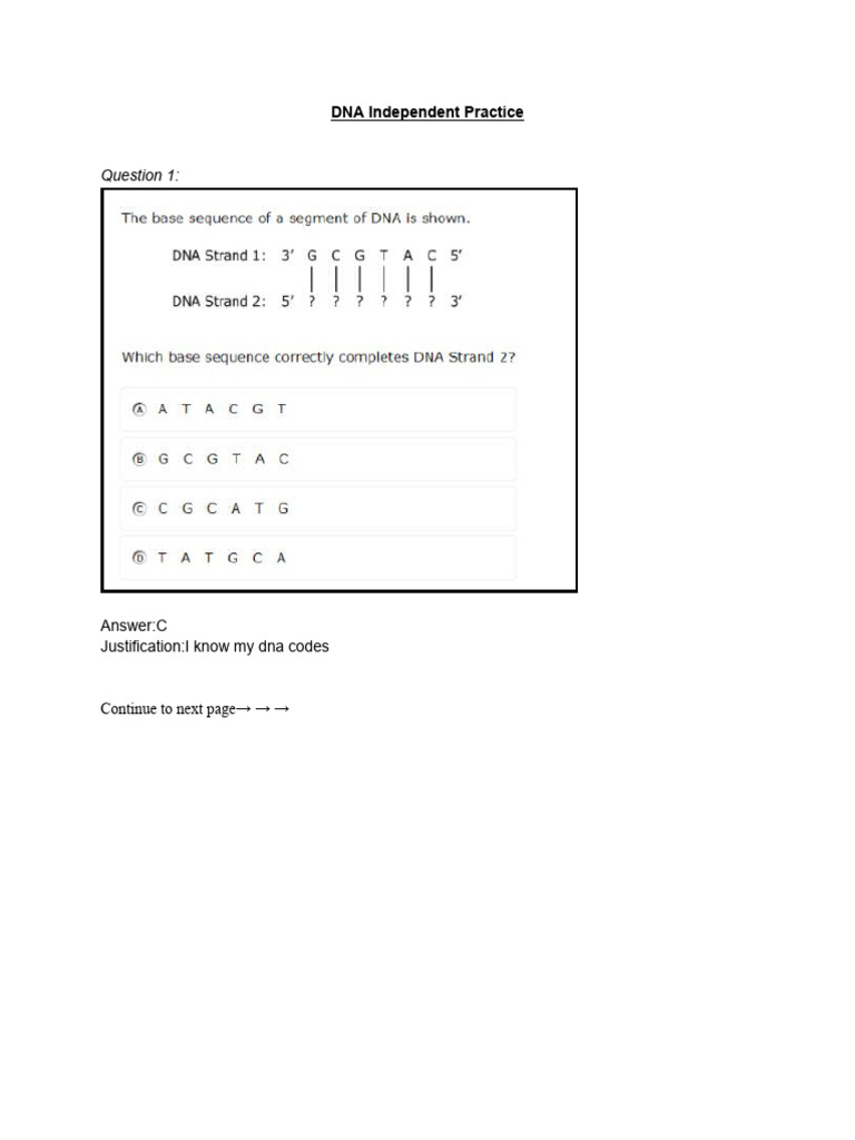 DNA Independent Practice | PDF
