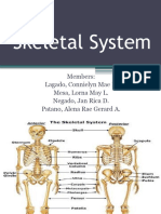 Skeletal System - Bio 2