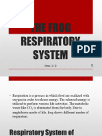Respiratory System - Bio 2 B