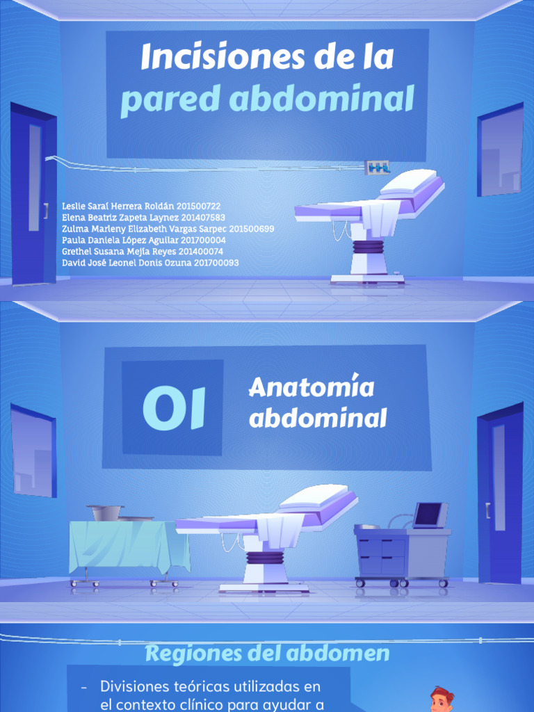Incisiones Abdominales: Tipos y Anatomía | PDF | Abdomen | Intestino grueso