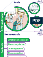 Homeostasis Complete BW (1)