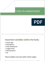 Homeostasis Ppt (2)