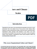 Culture and Climate Scales