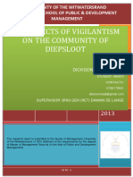 Effects of Vigilantism On The Community