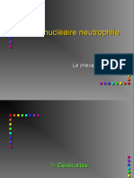 2 - Blancs - Polynucl ©aire Neutrophile 2020 FCB
