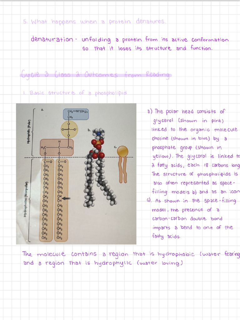 Biology | PDF