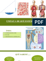 Tema 3 1er ESO