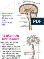 Bản Sao Của TK Y AB 31,2017