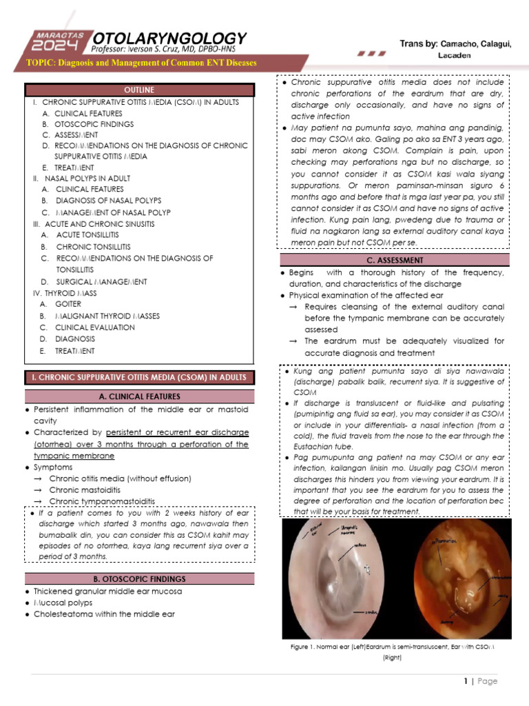 2024.ENT Trans05.diagnosis and Management of Common ENT Diseases