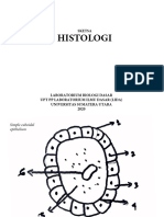 Sketsa Histologi