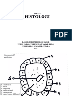 Sketsa Histlogi (Asisten)