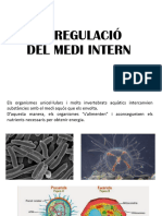 Regulacio Medi Intern 3 Eso