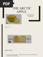 The Arctic Apple