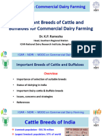 Important Breeds of Cattle and Buffaloes For Commercial Dairy Farming