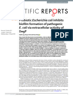 Probiotic Escherichia Coli Inhibits Biofilm Formation of Pathogenic Ecoli Via Extracellular Activity of DegP