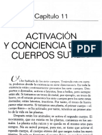 Activación y Consciencia de Los Cuerpos Sutiles