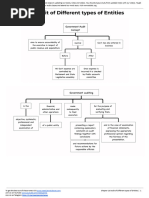 Audit of Different Types of Entities