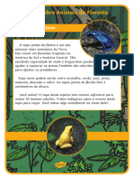 BR C 1666970799 Fatos Sobre Animais Da Floresta Poster Informativo - Ver - 3