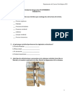 Actividad de Integracion Dorso y Tórax