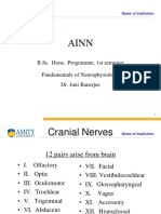 Cranial Nerves 2016