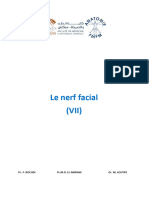 Le Nerf Facial VII