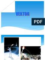 2.-Vektor_DMM