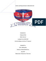 International Law Project UG21-34