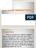 Ikterus Neonatorum PDF