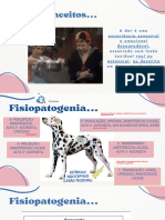 Anestesiologia Veterinária - Teórica 