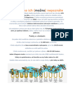Projekt Včela PDF