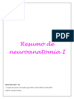 KResumo de Neuroanatomia I