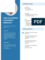 Curriculum Vitae