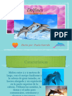Delfines Trabajo Biología