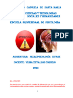 Neuropsicologia Separata Ii Fase Ok