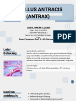 Bacillus Antracis (Antrax) - 20231128 - 014613 - 0000