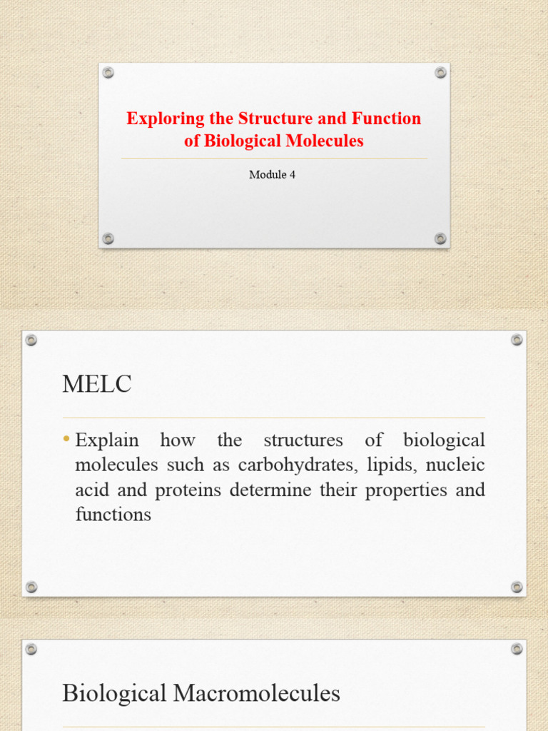 Structure and Function of Biomolecules | PDF