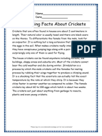 2 Interesting Facts About Crickets Grade 3 Comprehension Worksheet