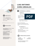 Curriculum Vitae Profesional .pdf-1