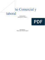 Derecho Comercial y Entrega 1 - Diego Andres Gutierrez