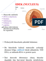 ÇEKİRDEK