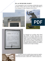 Visita Al Museo Del Mamut