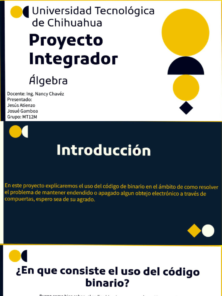 Proyecto Integrador | PDF | Ingeniería Informática | Ciencias de la ...