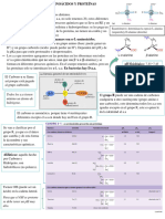 2-Estructura y Función de Aminoácidos y Proteínas