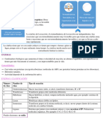 3-Catálisis Enzimática Resumen