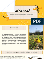 Presentación Proyecto Apicultura Abejas Ilustrado Beige Amarillo