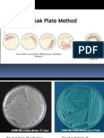 2nd Lab Stainings Procedures